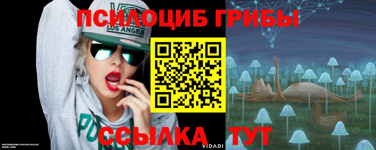 Псилоцибиновые грибы Psilocybine cubensis  Галлюциногенные грибы Cubensis  Вход с VPN  Тихорецк 
